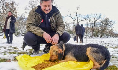 BAŞKAN ERCAN ÖZEL SOĞUK HAVALARDA YABAN HAYATI UNUTMADI