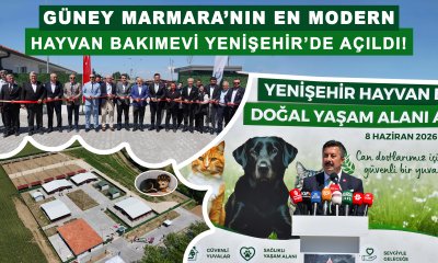 GÜNEY MARMARA’NIN EN MODERN HAYVAN BAKIMEVİ YENİŞEHİR’DE AÇILDI!