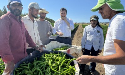 BAŞKAN ÖZEL, TARIM İŞÇİLERİNİ TARLADA ZİYARET ETTİ