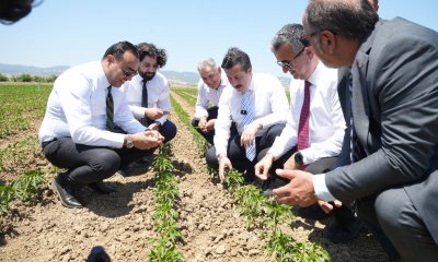 LİBYA’DAN YENİŞEHİR’E ÖZEL TARIM ZİYARETİ